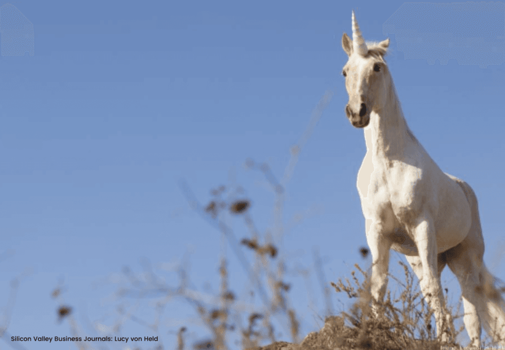 The Funded: New unicorns have become very, very rare