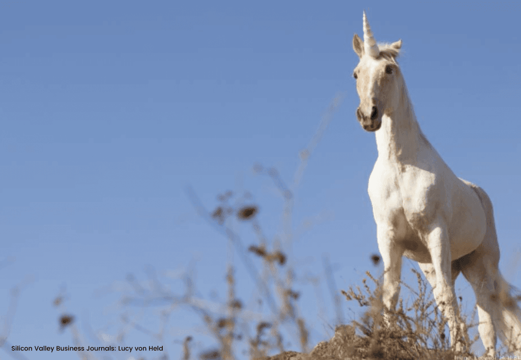 Featured image for The Funded: New unicorns have become very, very rare